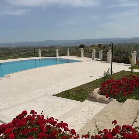 Villa Brikinnia *